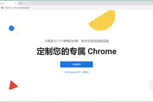 Google Chrome v112.0.5615.138增强便携版